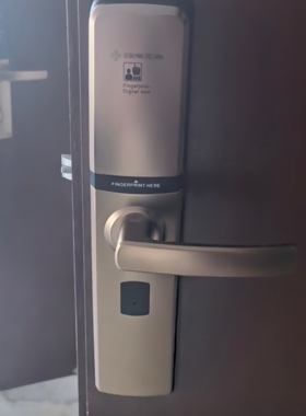 ARCHIE智能门锁家用防盗门指纹锁密码锁电子锁大门入户门-假锁