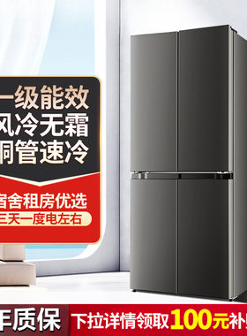 冰箱十字门一级能效家用零嵌入式双开门大容量出租房用一件起批