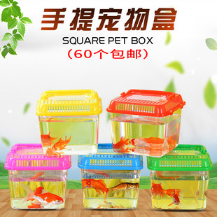 手提透明运输盒龟盒小方盒 小号塑料乌龟缸金鱼缸 爬宠饲养宠物盒