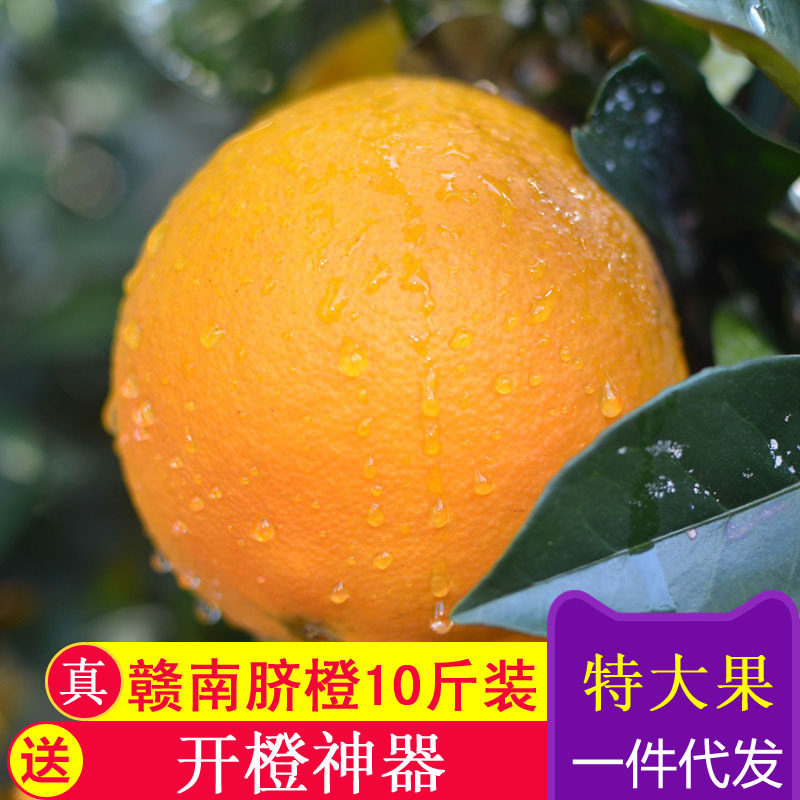 正宗赣南脐橙当季新鲜孕妇水果现摘10斤特大果手剥赣州甜橙子