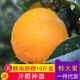 正宗赣南脐橙当季 新鲜孕妇水果现摘10斤特大果手剥赣州甜橙子