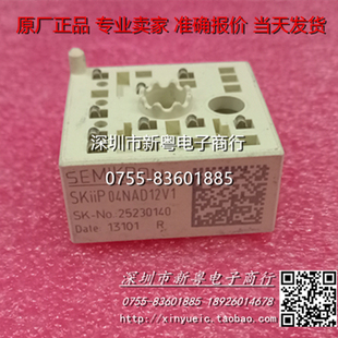 Skiip04NAD12V1 进口模块 专业卖家 准确报价 当天发货