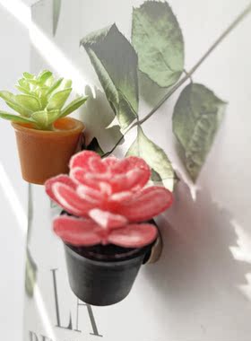 可爱迷你绿植小盆栽冰箱贴