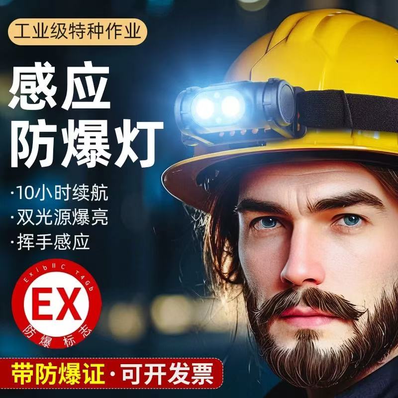 锐豹防爆双头高亮头灯泛光感应