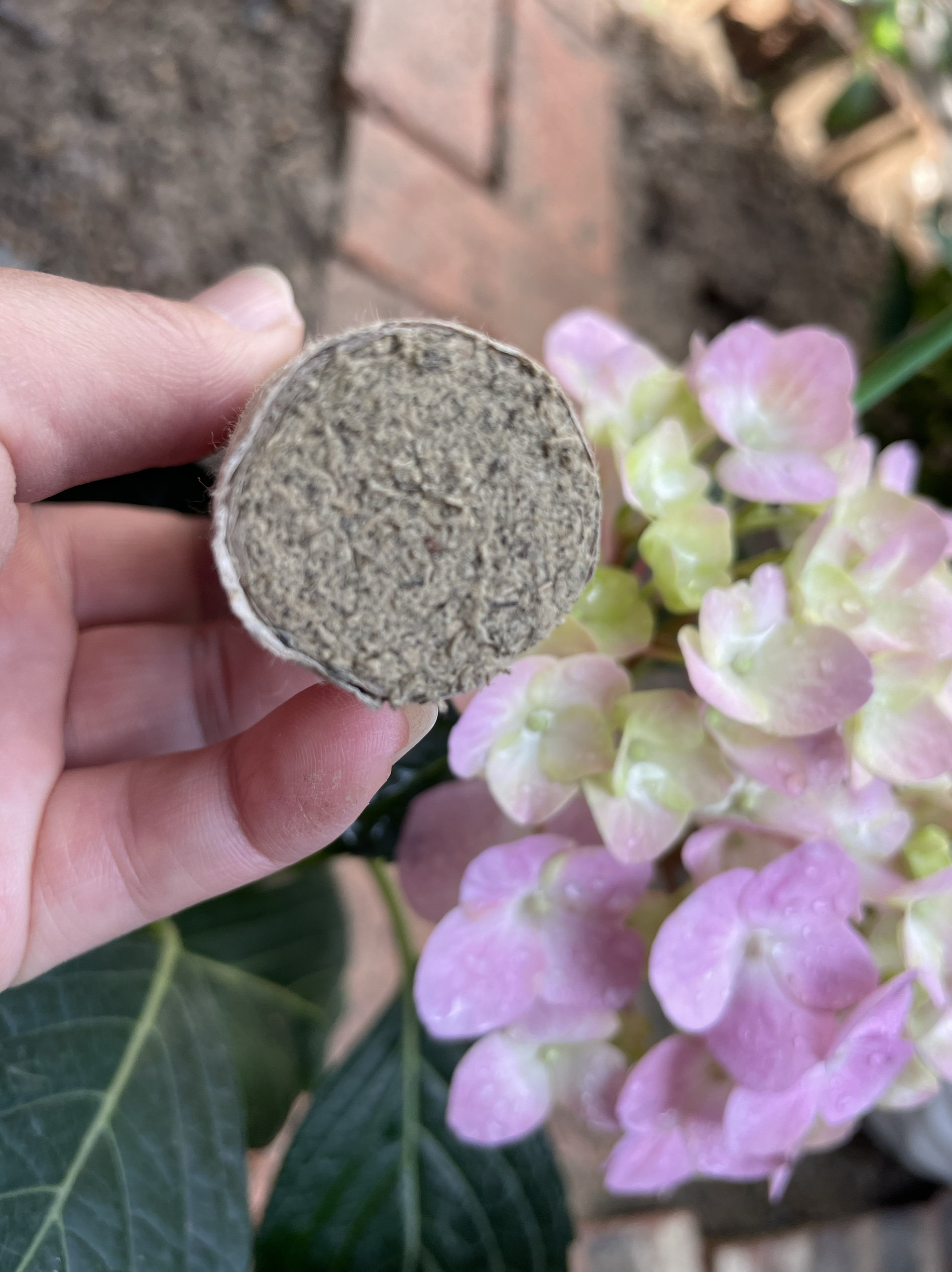 8cm～2.5cm蕲春野生艾条基地艾条养生馆艾灸馆定制家用养生艾条