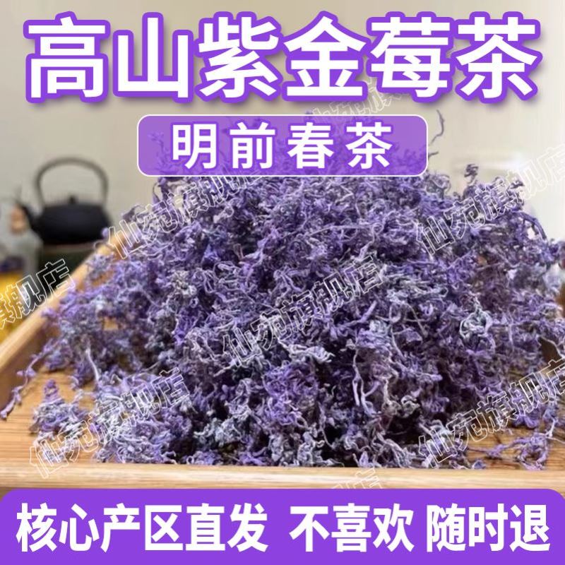 正宗张家界特级野生紫金莓茶明前春茶紫芽藤茶紫色莓茶土家养生茶
