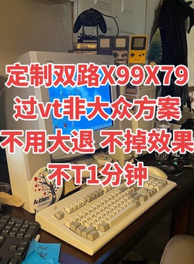 海光3350海光3450同款不掉效果双路x99X79过vtd保30天不踢一分钟
