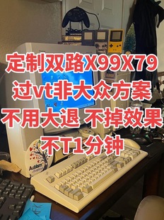 海光3350海光3450同款不掉效果双路x99X79过vtd保30天不踢一分钟