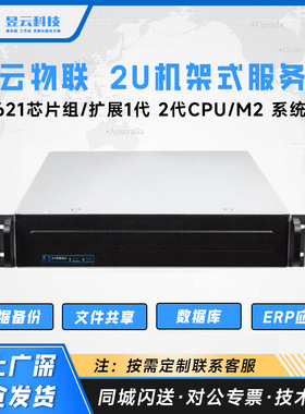 ASUS/华硕 Z11PA-D8C/4210R CPU/32G/500G SSD 定制化服务器整机