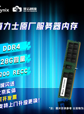 SK海力士现代内存条 DDR4/128G 3200/2933 RECC 服务器升级维护