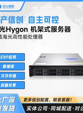 国产信创服务器 搭载海光3350 CPU/16G内存/480G SSD 按需求定制