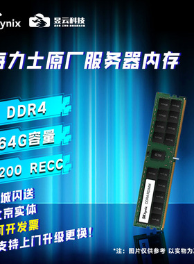 现代海力士SK内存 DDR4/64G 2400/2666/2933/3200 RECC服务器升级