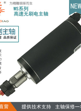 龙雕LD42WS-250W电主轴高速无刷直流电机数控雕刻木工佛珠钻孔机