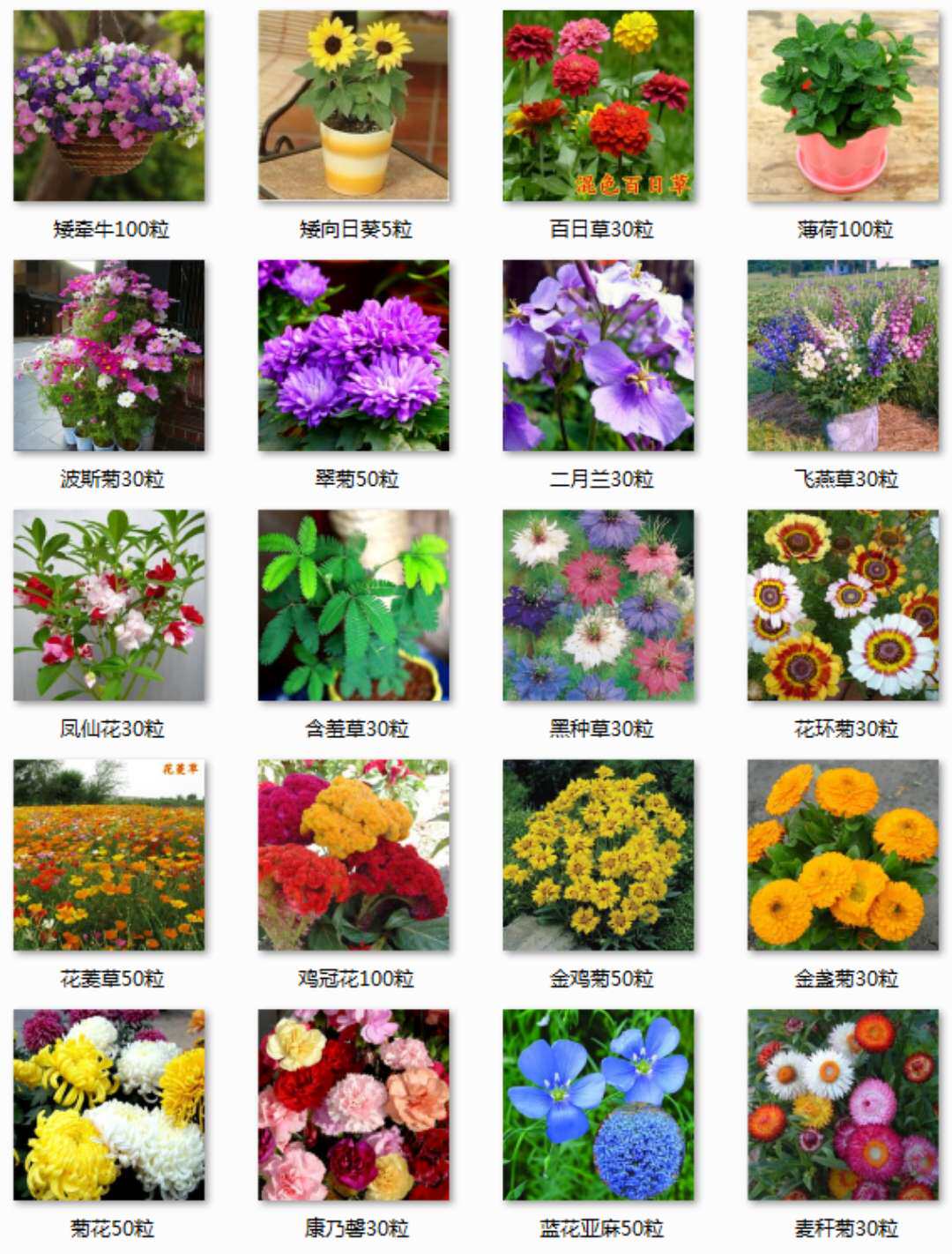 Cindy high quality Teflon high temperature Cloth tape flowers and plants seed 40 Tool 1 Spout 1in the Office Equipment/Consumables/Related Services , Tape , Teflon tape  category - from Buy2taobao.com to provide professional Taobao agent buy service