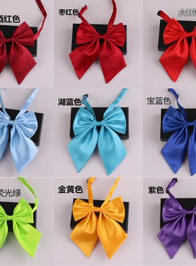 女士衬衣领职业装饰领花学生免打学院风表演娱乐团体合唱领结领花