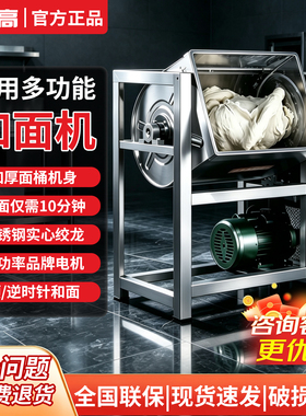 志高商用全自动不锈钢和面机