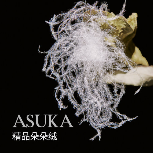 阿思家羽绒被95%白鹅绒现充