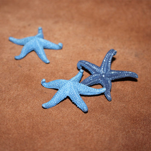 safari美国蓝色海星仿真动物模型