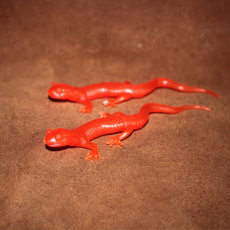safari 仿真爬行动物模型玩具 水陆两栖场景摆件 红颊蝾螈未上色