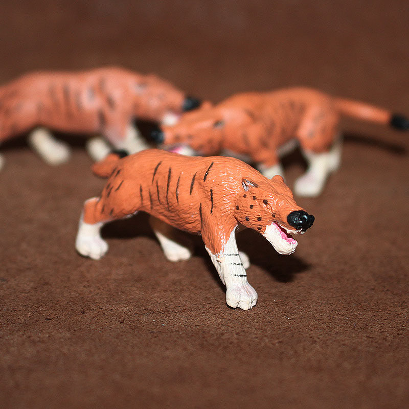 safari 仿真动物 远古生物模型迷你场景摆件玩具  蒙古安氏中兽