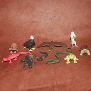 safari 仿真模型玩具场景摆件 青蛙蜥蜴大鳄龟等多件套装