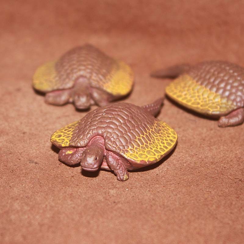 safari 儿童认知仿真远古海栖爬行动物模型玩具 三叠纪 盾齿龙