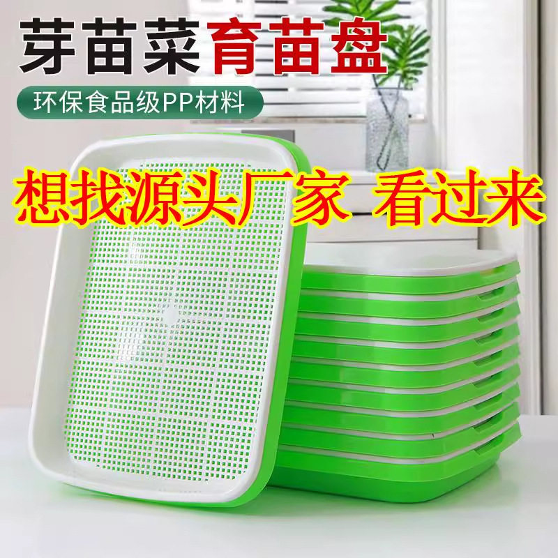 育苗盘芽苗盘菜阳台种菜盆水培