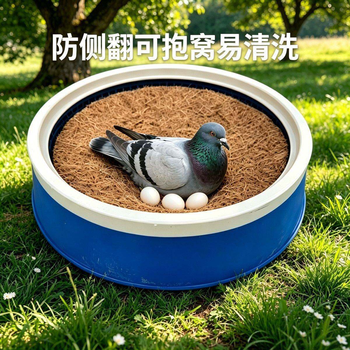 信鸽专用塑料圆形漏孔巢盆孵蛋