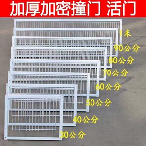 鸽子用品器具鸽子激活门撞门信鸽赛鸽用品加厚加密返回笼门鸽子设