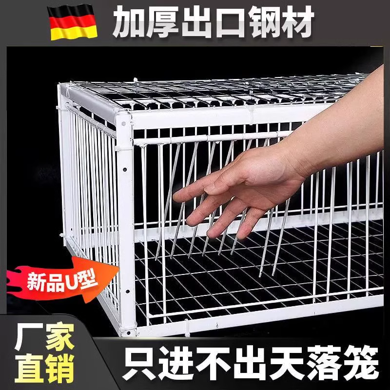 天落笼鸽子笼鸽子活络门只进不出撞门鸽笼铁笼跳笼自动门神器捕捉