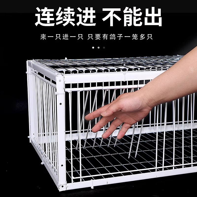 天落笼鸽子笼鸽子活络门只进不出撞门鸽笼铁笼跳笼自动门神器捕捉