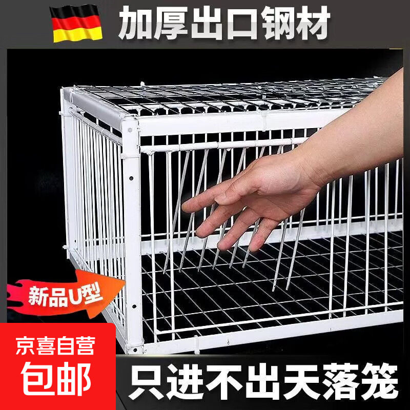 全自动鸽子捕收笼｜可连续抓取进