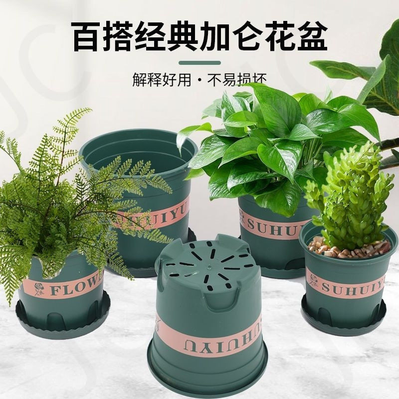加仑花盆加厚塑料多肉月季阳台