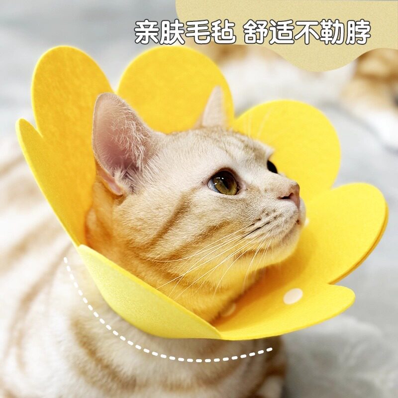 伊丽莎白圈猫咪宠物狗狗头套防舔耻辱绝育脖圈软布伊莉莎项圈用品