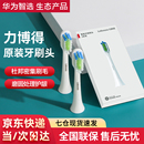 華為智選力博得電動(dòng)牙刷刷頭成人家用清潔替換原裝 通用聲波牙刷頭