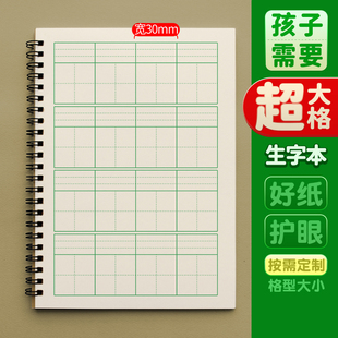 定制大格拼音本练习簿幼儿园幼小学前儿童拼音田字格生字本练习本