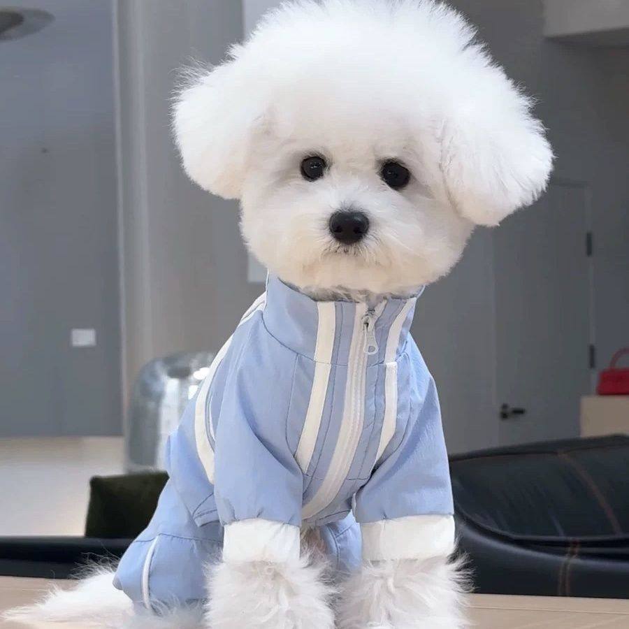 狗狗衣服春夏款小型犬雪纳瑞可牵引宠物防泼水四脚冲锋衣,宠物/宠物食品及用品,狗宠物服装/雨衣,淘宝优惠券,粉丝福利购,淘宝优惠卷