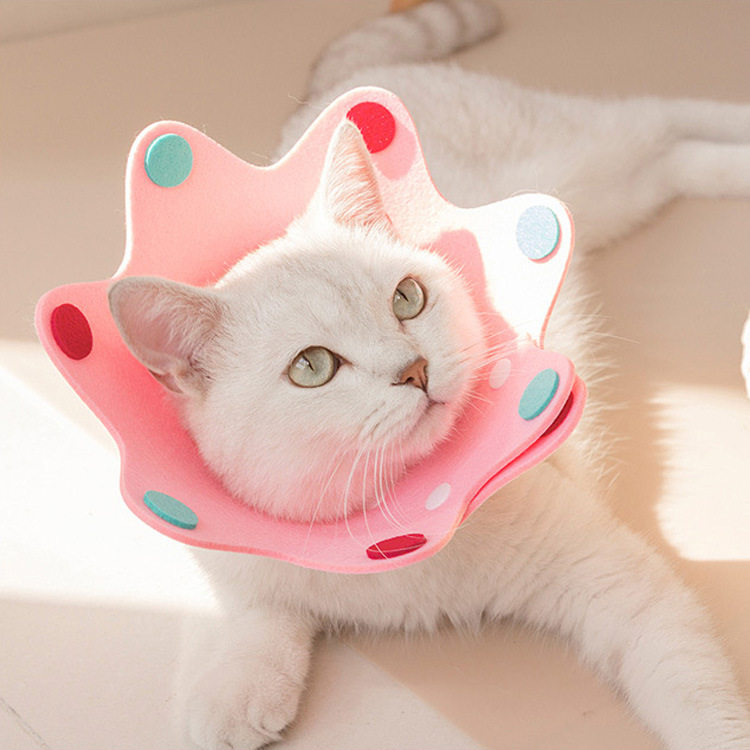 伊丽莎白圈毛毡宠物可调节项圈薄软轻脖圈术后恢复防舔防咬耻辱圈,宠物/宠物食品及用品,宠物伊丽莎白圈,淘宝优惠券,粉丝福利购,淘宝优惠卷