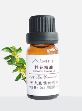 桂花精油10ml提神净化空气护肤按摩香薰车用天然单方精油正品