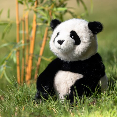 英国代购正品08.07 Aurora Borealis Hui Ying Panda仿真熊猫玩偶