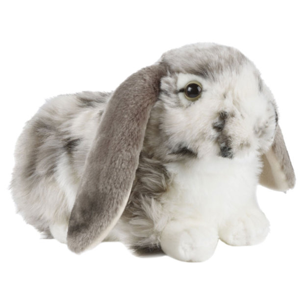 英国代购正品05.07 Living Nature Grey Dutch Lop荷兰垂耳兔