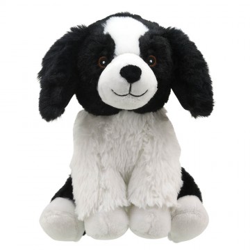 BobbyBorderCollie鲍比