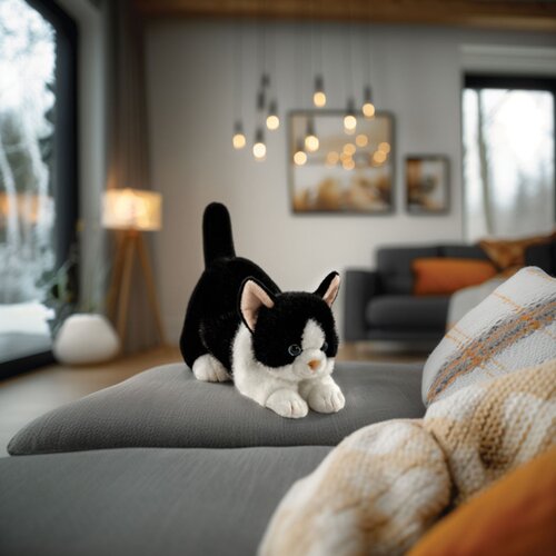 英国代购正品08.07 Aurora Borealis Domino Tuxedo Cat 小猫咪