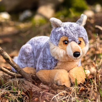 AuroraBorealisAsherWolf