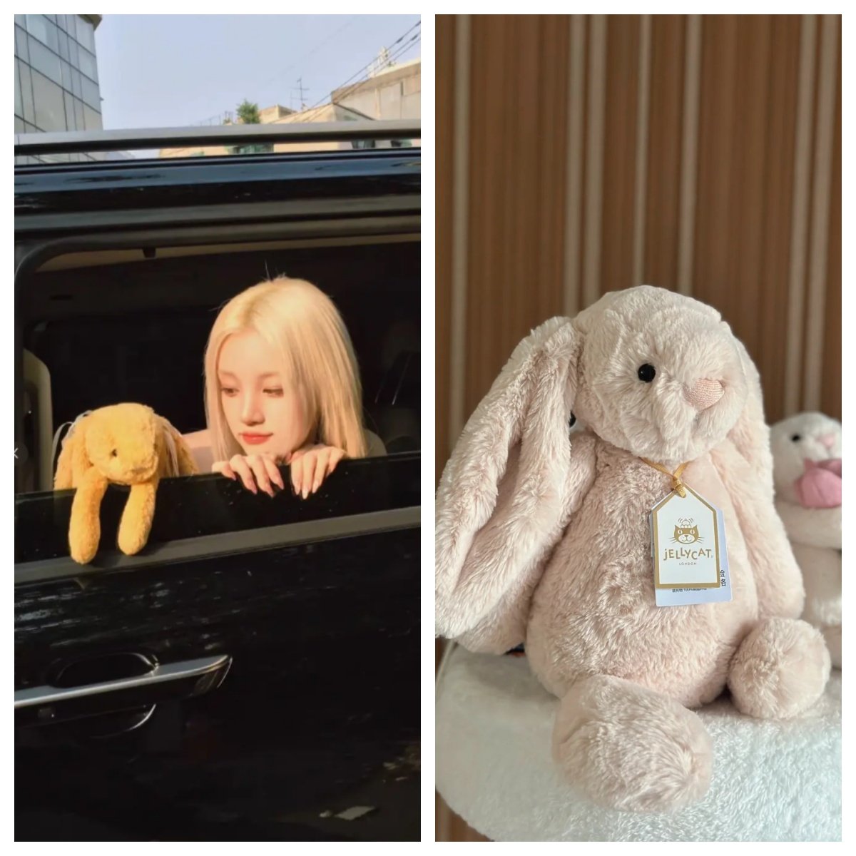 BunnyRosa奢华罗莎兔