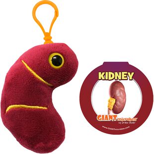 英国代购正品02.28 Giant Microbes Kidney 教育辅材 肾脏钥匙扣