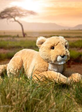 英国代购正品12.17 Aurora Borealis Aaliyah Lioness 北极光母狮