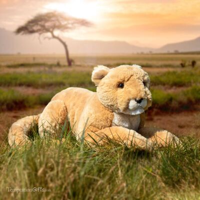 AuroraBorealisAaliyah