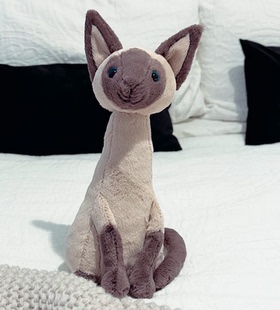 国内现货秒发！01.24 jellycat  Siamese Cat 艾丽斯暹罗猫咪玩偶