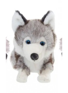 英国代购正品02.05 Bukowski Bears Baby Husky 哈士奇宝宝 玩偶